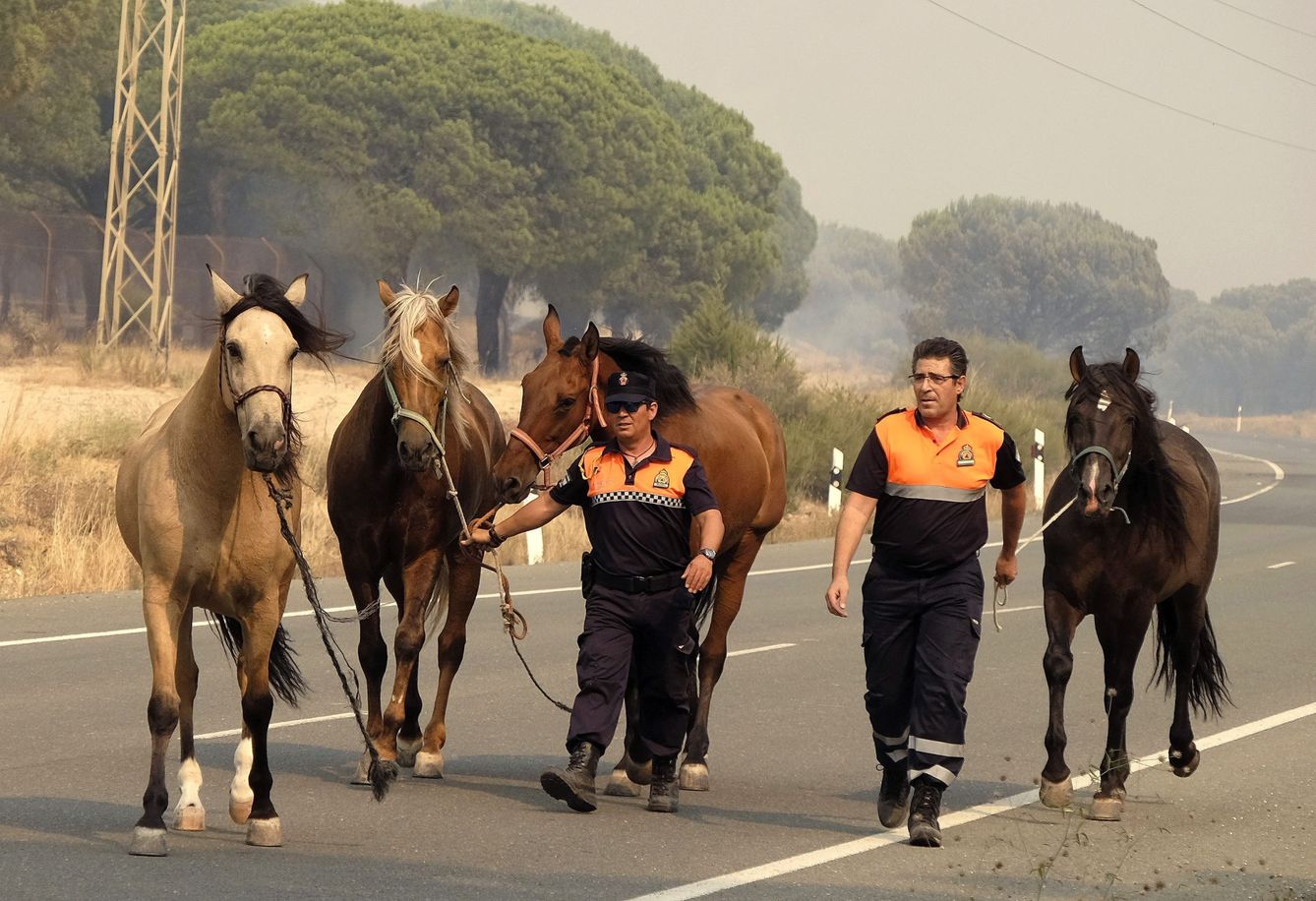 Dos operarios rescatan a varios caballos de las llamas en el incendio de 2017 de Doñana. (EFE/Julián Pérez)