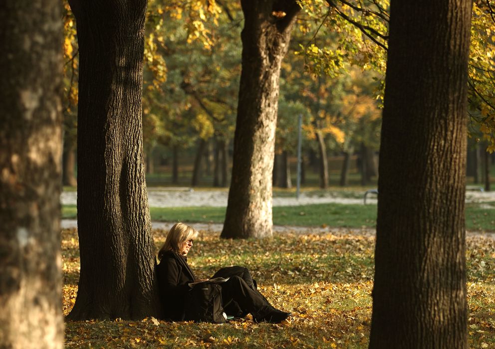 Foto: Una mujer lee un libro en un parque (Reuters)