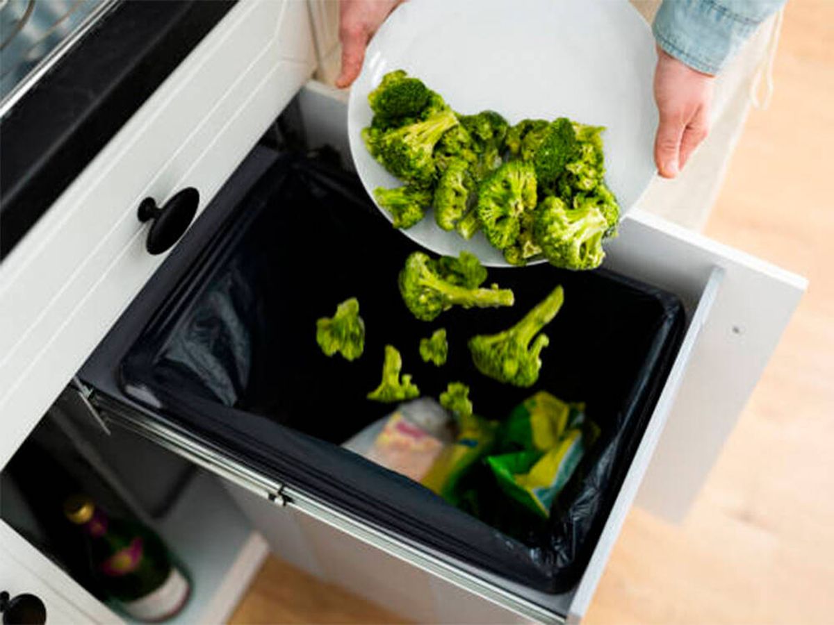 Foto: ¿Cansado de tirar comida a la basura? Sigue estos sencillos trucos y no desperdicies más (iStock)