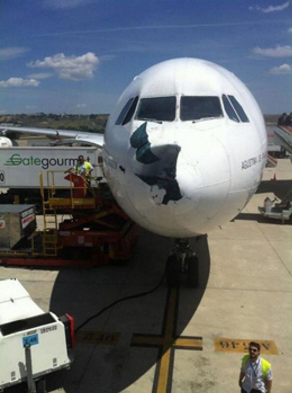 Foto: Un Airbus de Iberia colisiona en vuelo con un buitre leonado y regresa de urgencia a Barajas