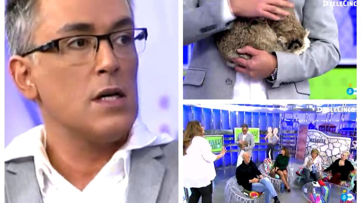 Kiko Hernández lleva a 'Sálvame' a su gato disecado: "Se llama Pulgas"