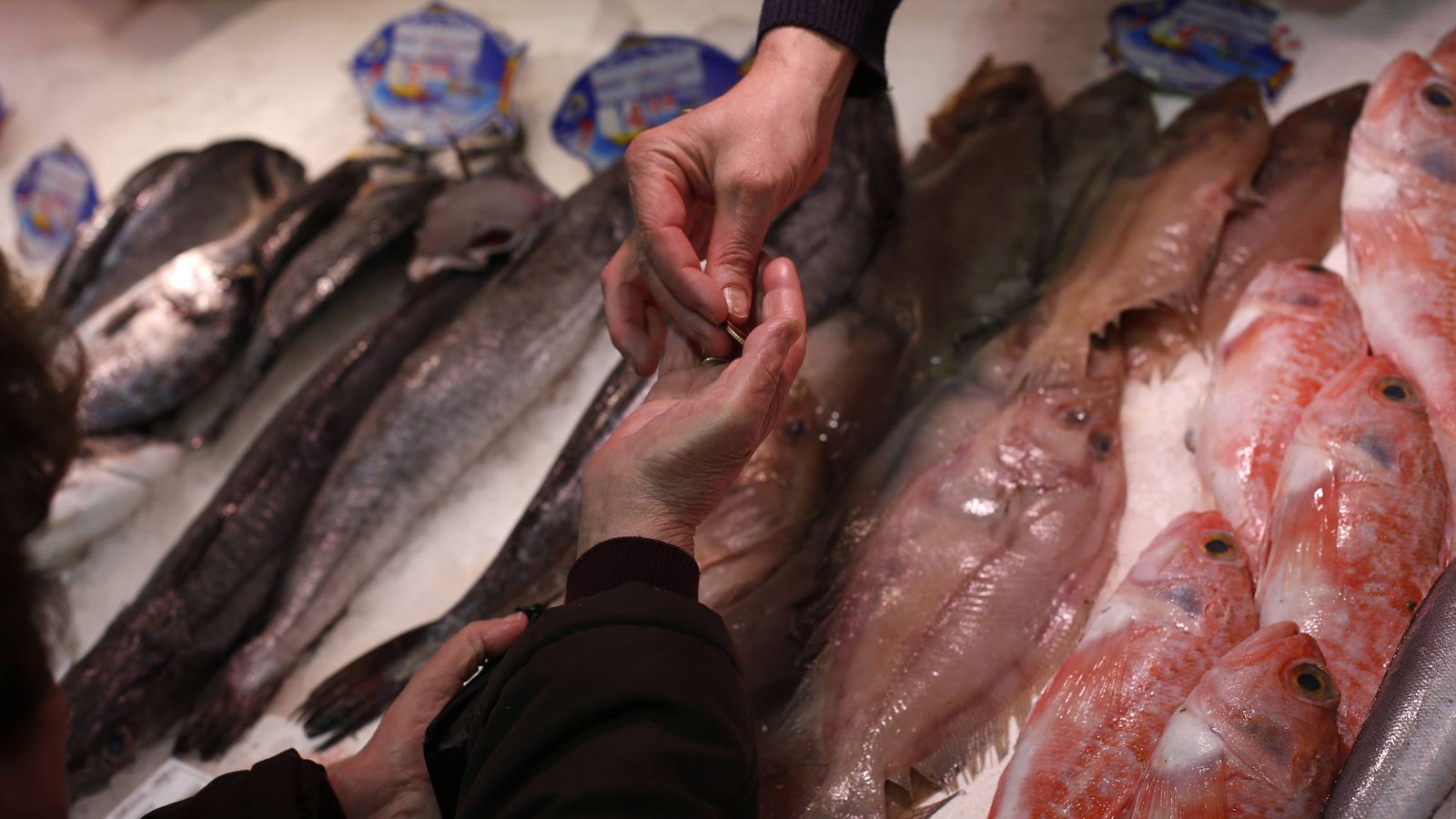 Foto: Una mujer compra pescado en Madrid. (Reuters)