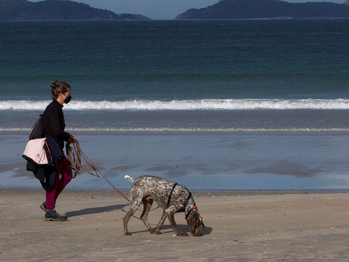 Foto: Una mujer pasea a su perro. (EFE/Salvador Sas)
