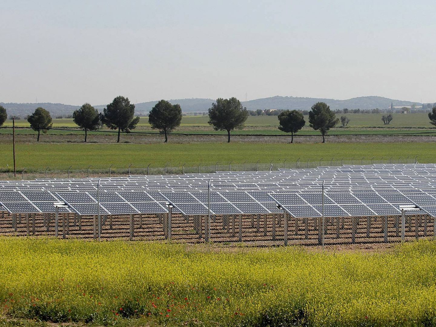 Imagen de un campo de placas solares en la provincia de Ciudad Real. (EFE)