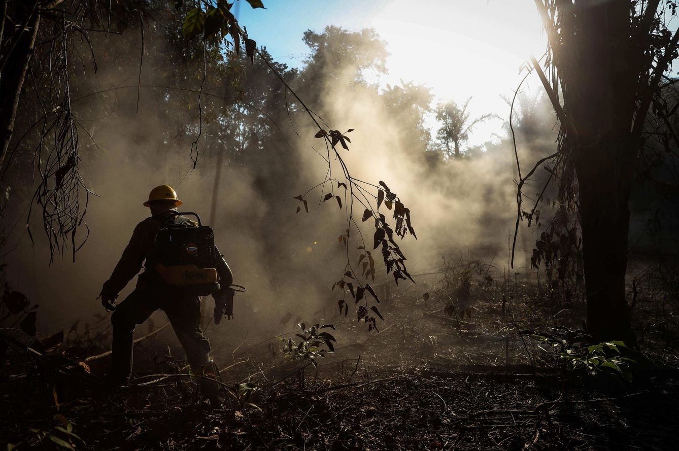 Incendios provocados en la Amazonia brasileña. (EFE)