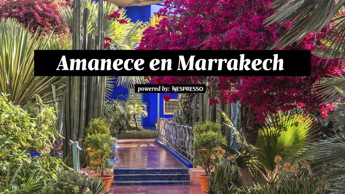 Empieza el día de paseo por los jardines Majorelle de Marrakech, el refugio marroquí de Yves Saint Laurent