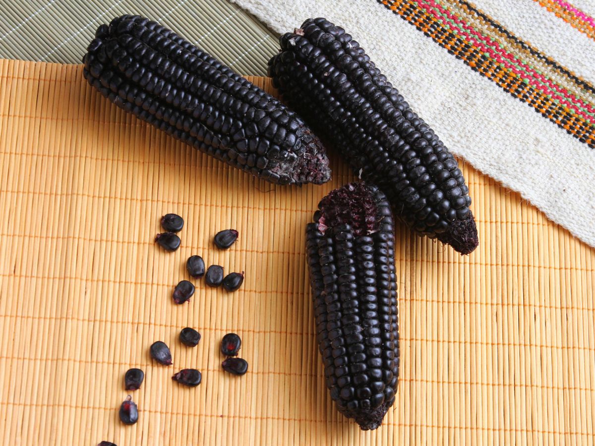Foto: Este tipo de maiz es muy típico en Perú. (iStock)