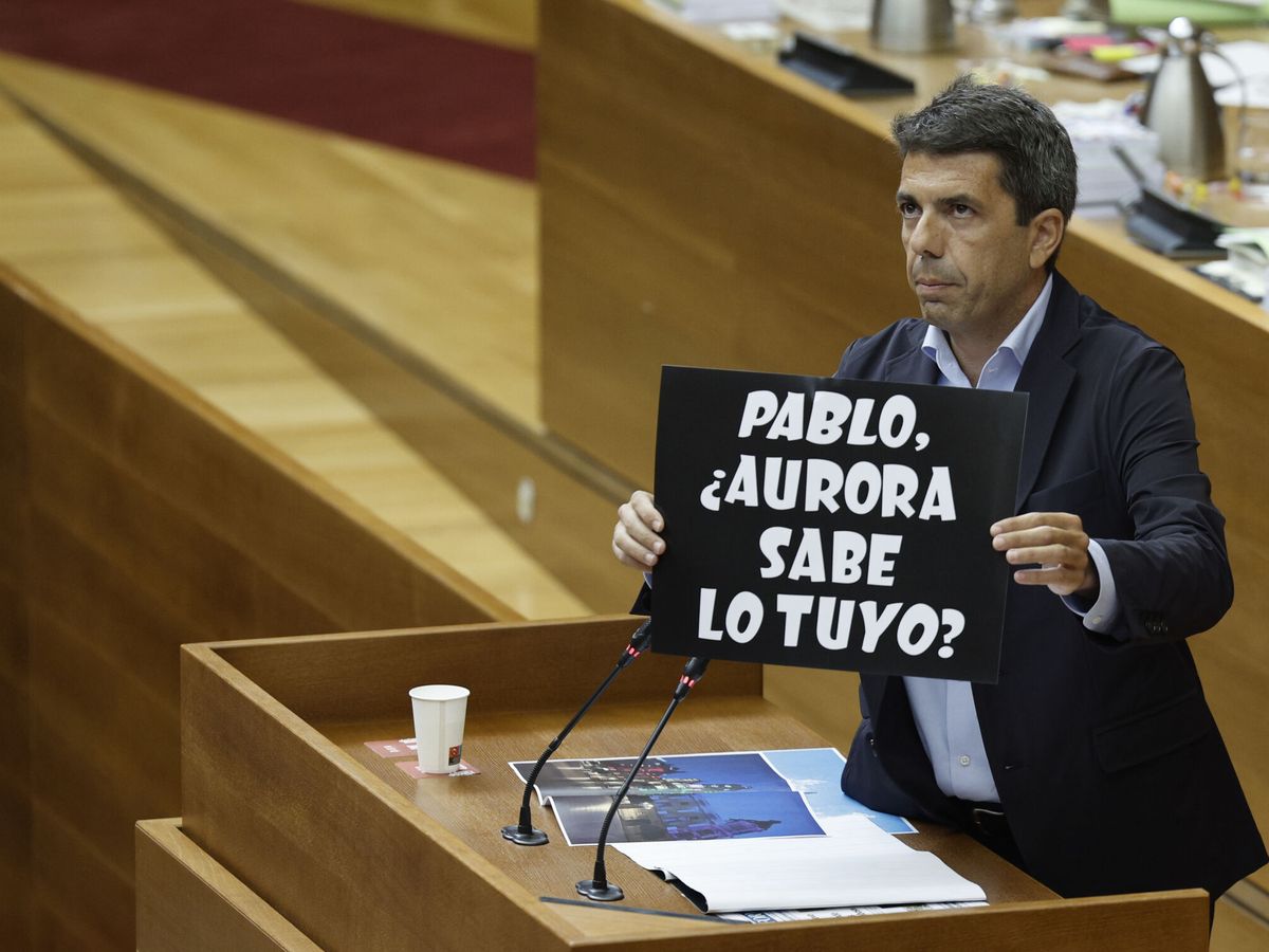 Foto: El presidente de la Generalitat, Carlos Mazón, muestra un cartel que alude al alcalde de Elche, Pablo Ruz, y a, su socia de Gobierno Aurora Rodil, de Vox. (EFE/Kai Försterling)