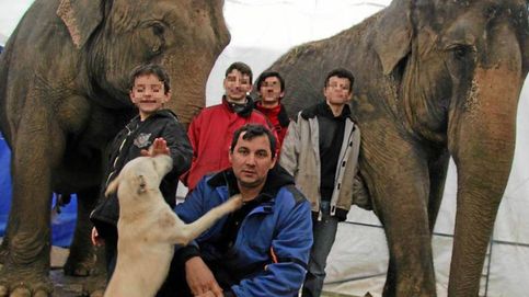 El mal viaje de las elefantas accidentadas en Albacete: 30 años cautivas de un domador