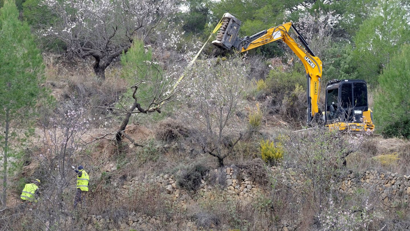 Trabajos para eliminar olivares dañados por la bacteria en Alicante, en 2018.