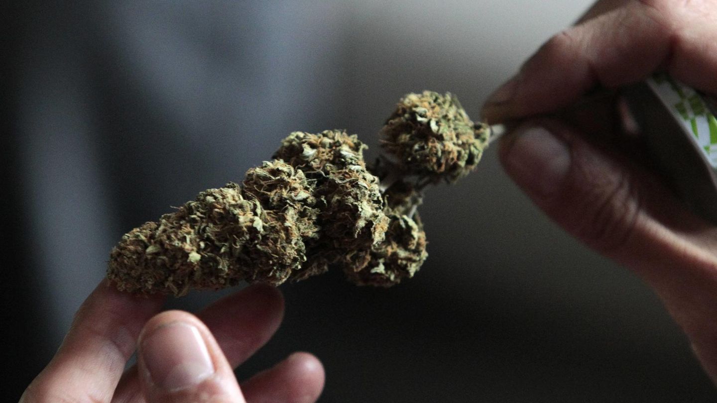 Una muestra de marihuana. (Reuters)