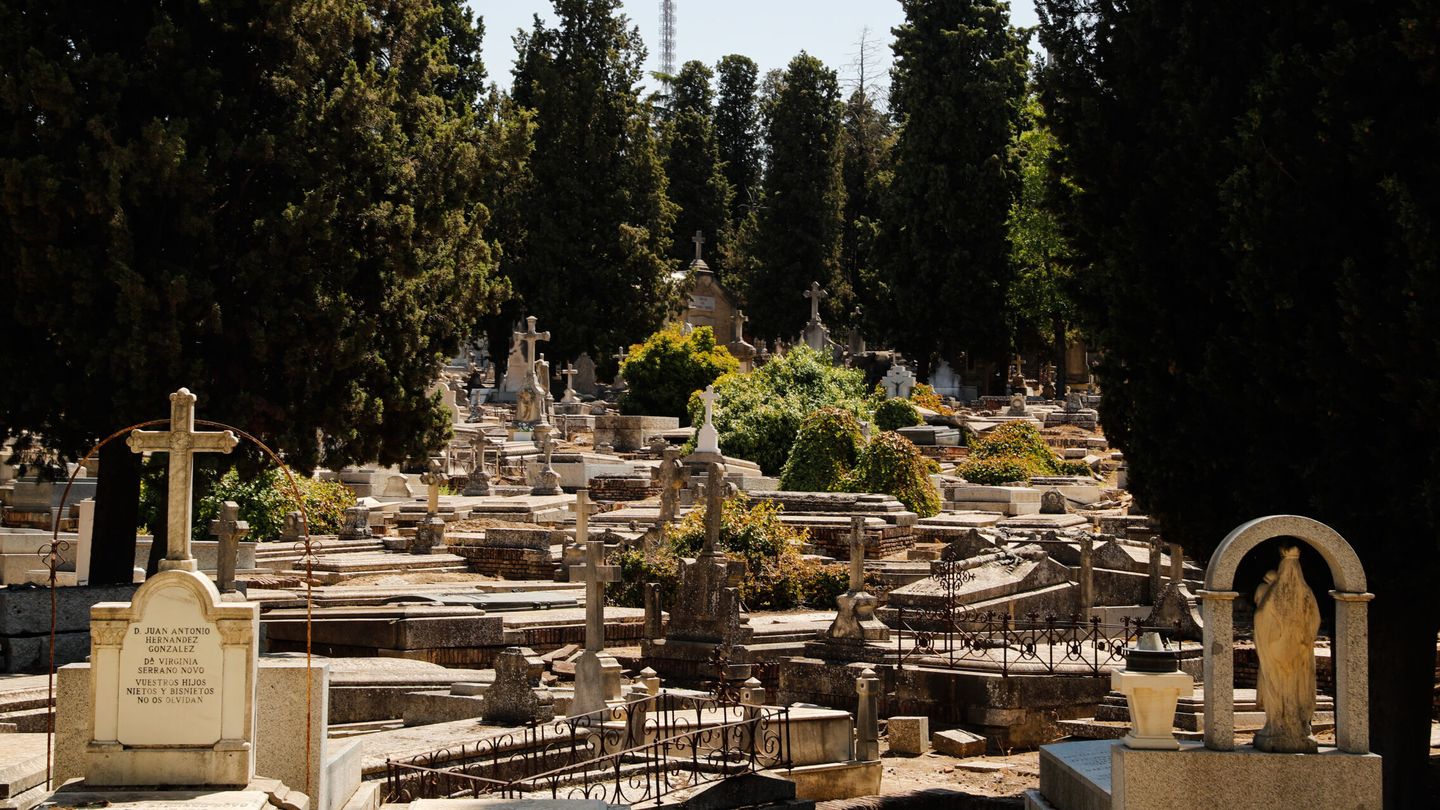 Vista del cementerio de la Almudena. (EFE/Luis Millán)