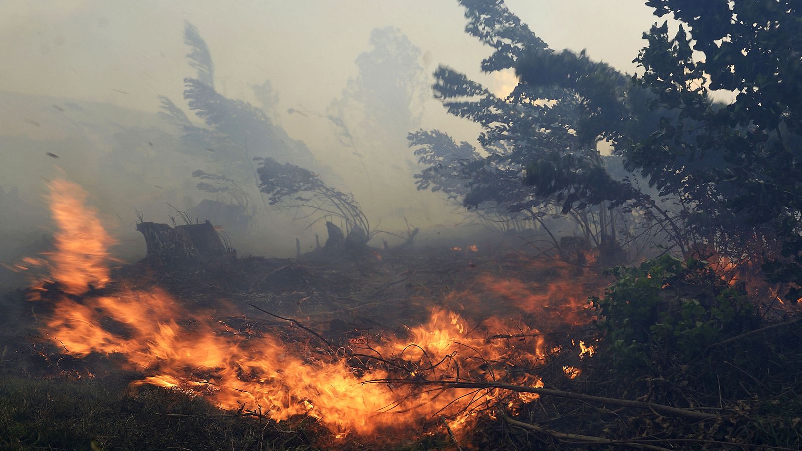 Foto: Imagen tomada este lunes de uno de los incendios forestales en los montes próximos a la localidad cántabra de Viernoles. (Efe) 
