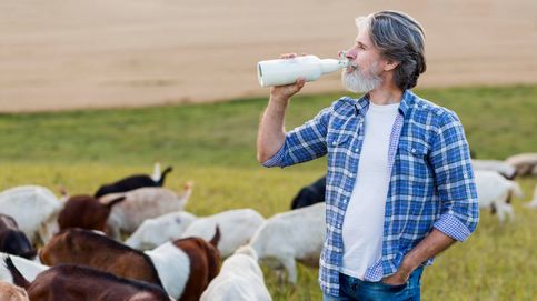 El componente de la leche que podría ayudar a prevenir el deterioro cognitivo del envejecimiento