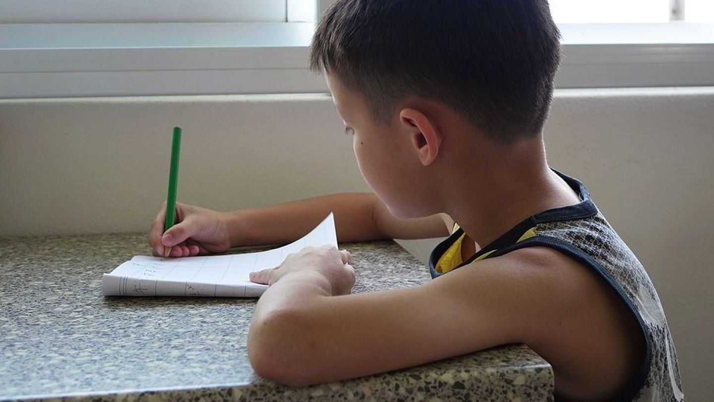 Un niño haciendo los deberes en clase (pixabay)