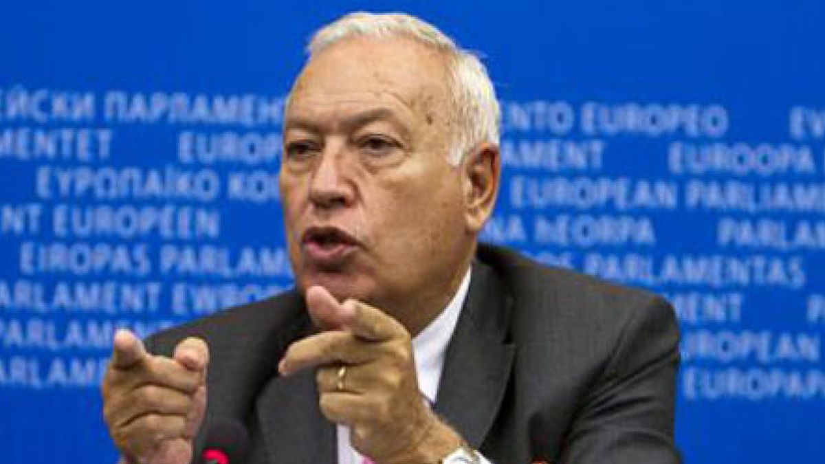 García Margallo, un eurodiputado experto en economía para Exteriores