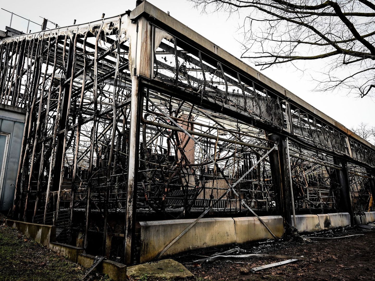 Restos del incendio en el zoo de Krefeld. (EFE)