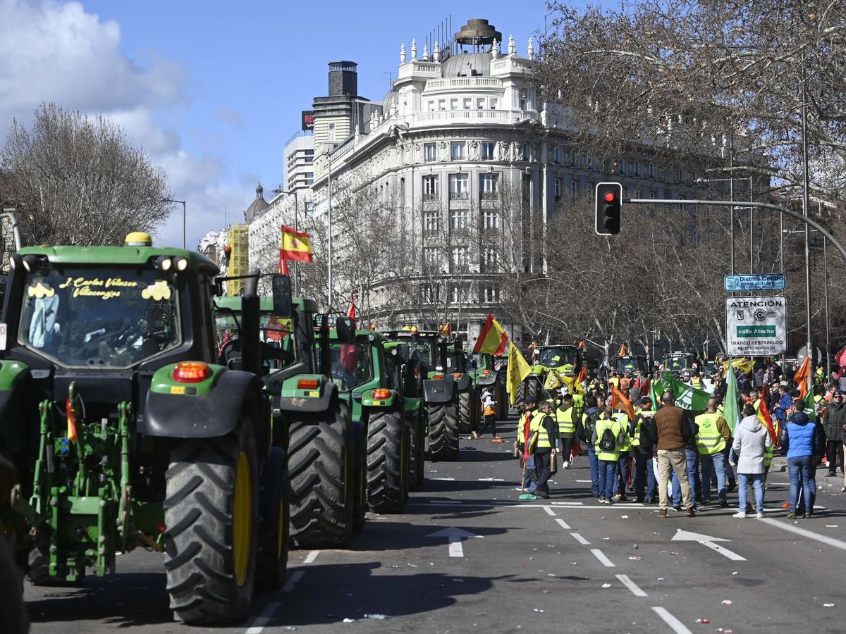 Foto: Los agricultores vuelven a Madrid. (Europa Press/Alberto Ortega)