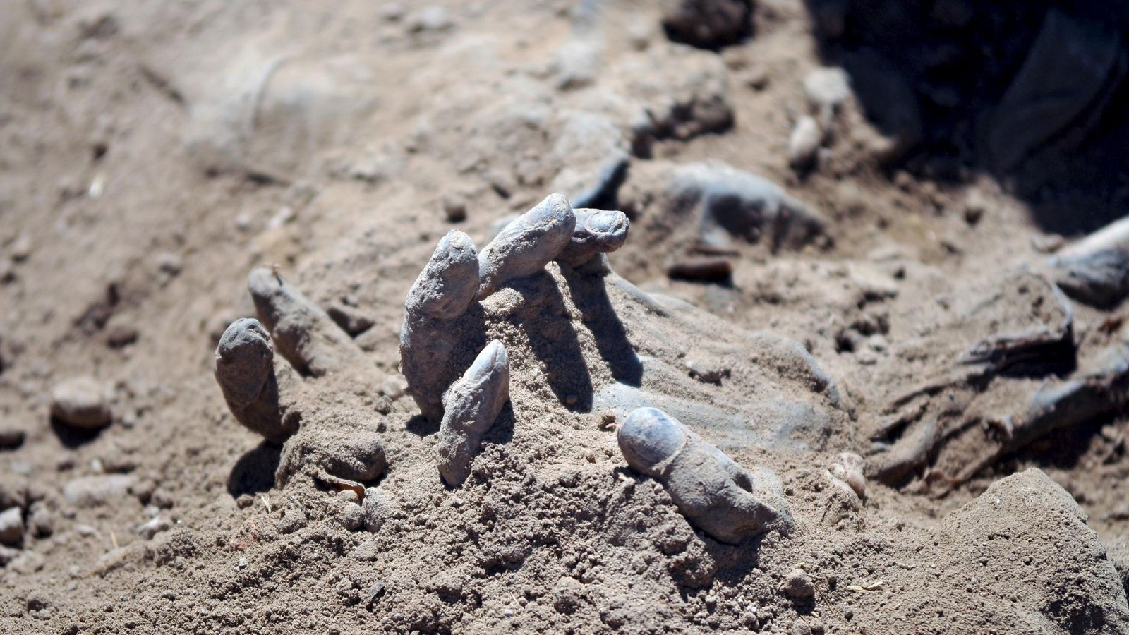 Foto: Uno de los cuerpos encontrados en la fosa común de Tikrit (REUTERS)
