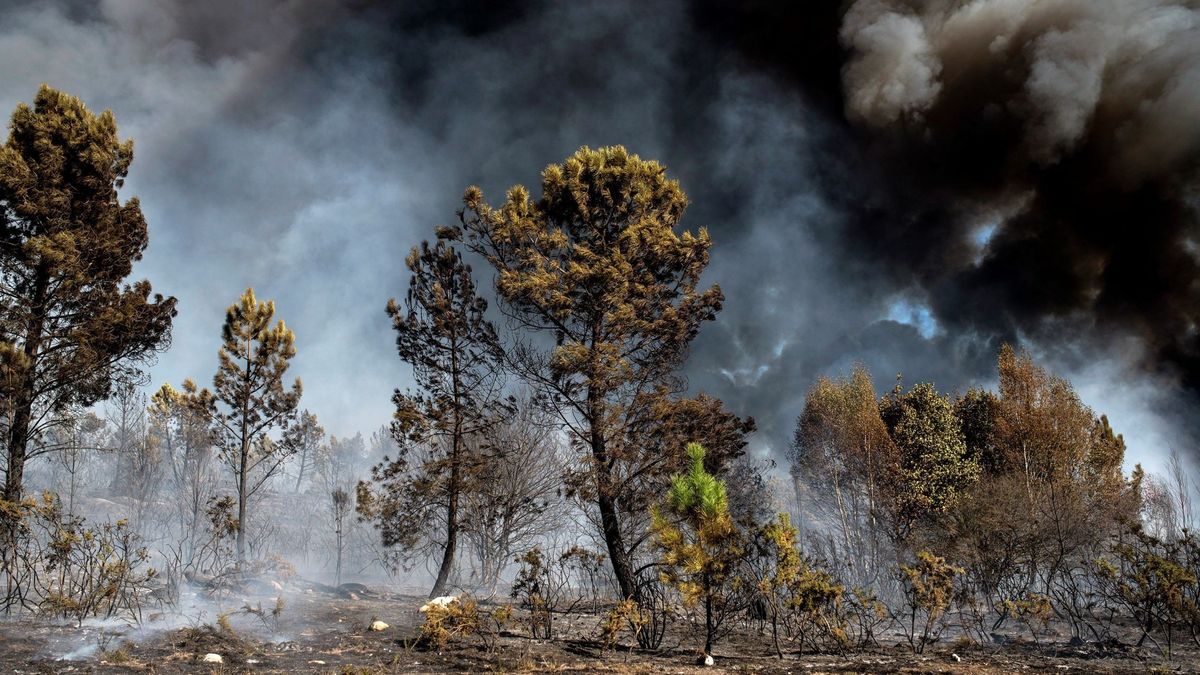 El Registro protege las superficies quemadas en España
