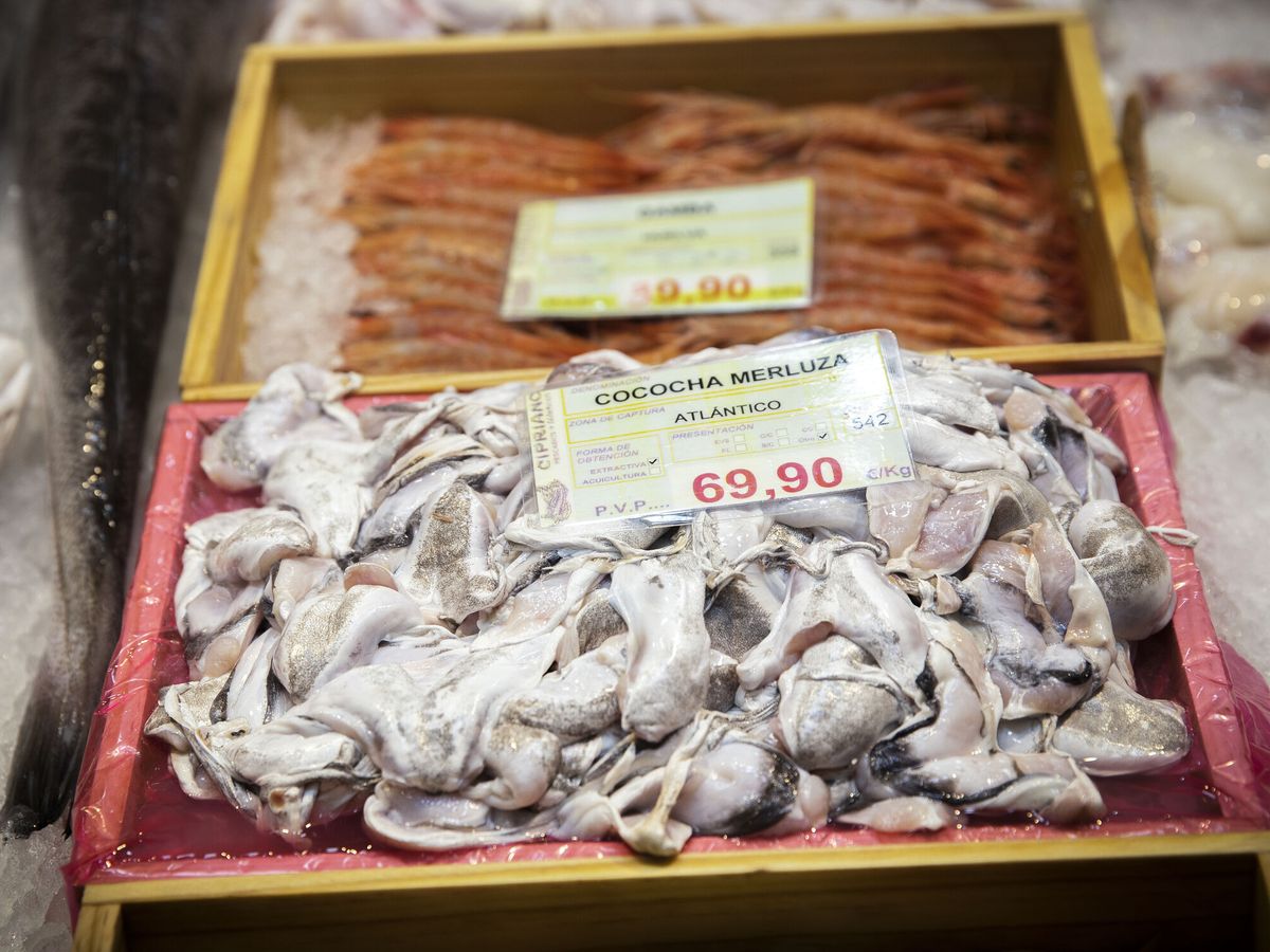 Foto: Puesto de venta de pescados y mariscos en Pamplona. (EFE/Villar)