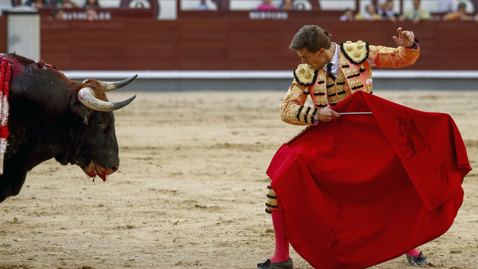 ¿Quién torea el viernes 8 de mayo, en Madrid? Cartel completo en Las Ventas