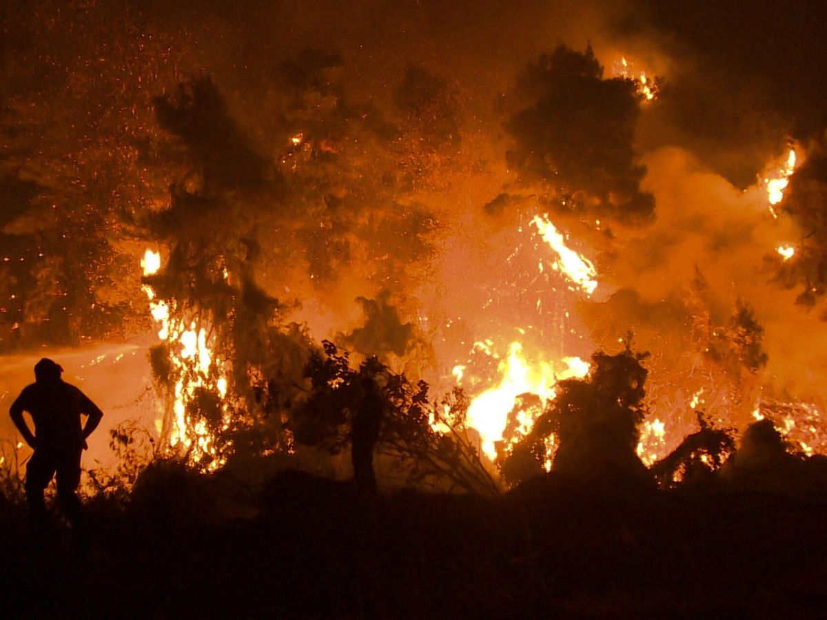 Foto: Incendio forestal en la isla de Evia, Grecia. (EFE)