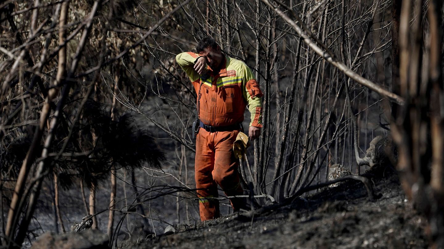 Bombero forestal, en los incendios de Asturias. (EFE/Paco Paredes) 