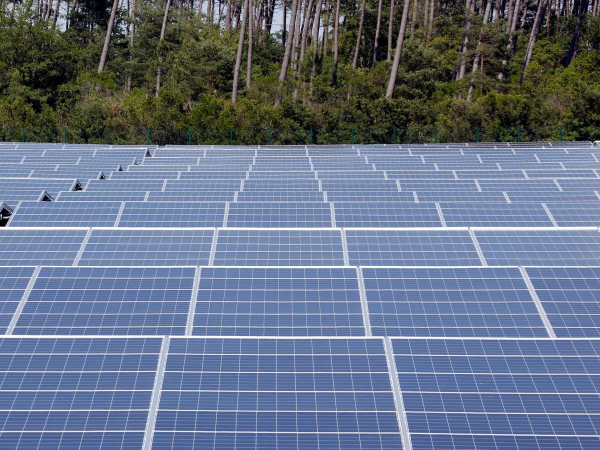 Foto: Imagen de archivo de una planta fotovoltaica. (Reuters/Regis Duvignau)