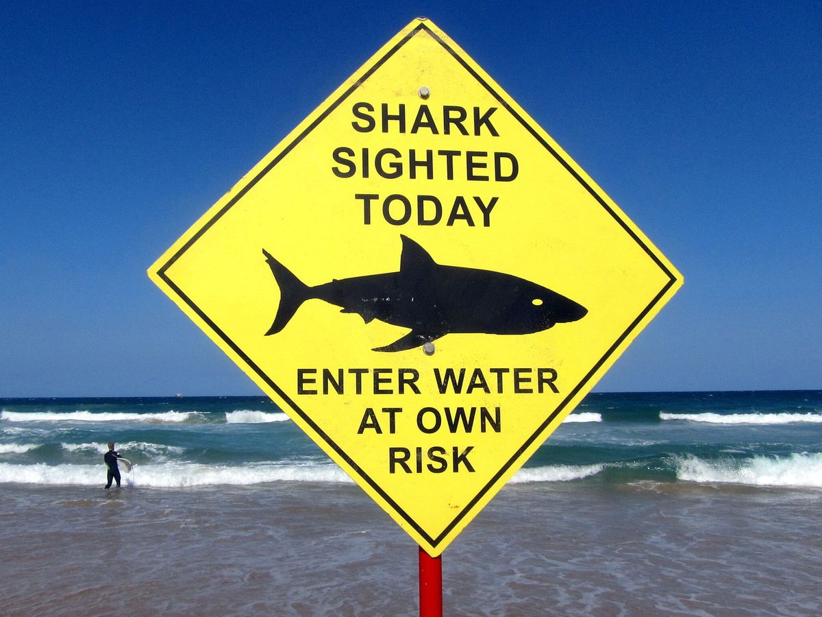 Foto: Playas cerradas en Sídney por tiburones. (Reuters/David Gray)