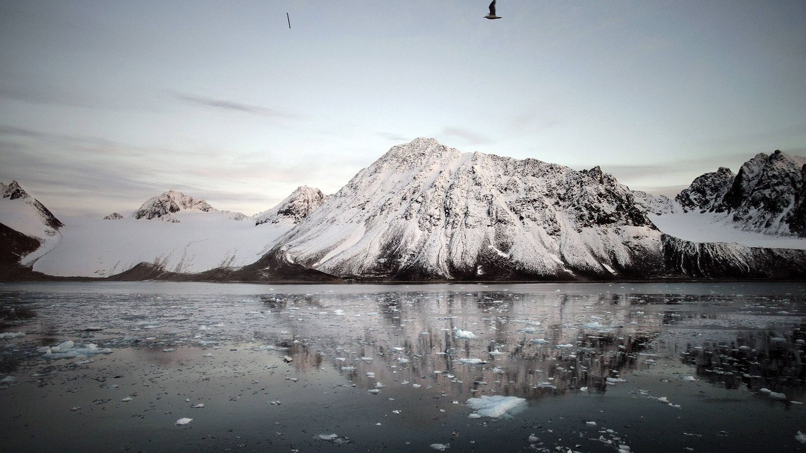 Foto: Imagen incluída en la exposición "el Ártico se rompe"