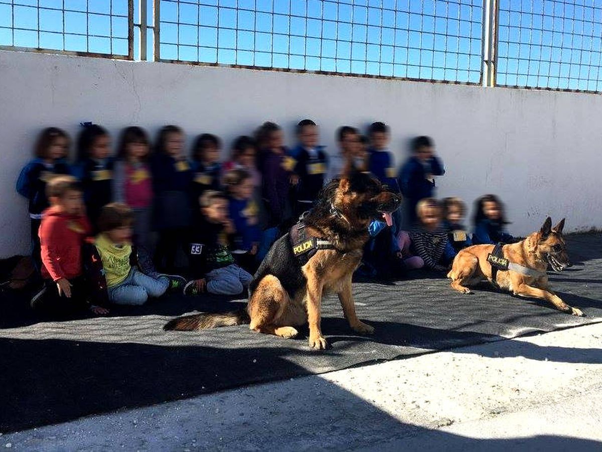 Foto: La Policía Local de Marbella suele visitar centros escolares con sus ayudantes caninos (Foto: Facebook)