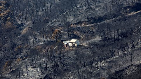 El megaincendio climático de Sierra Bermeja abre las puertas del infierno