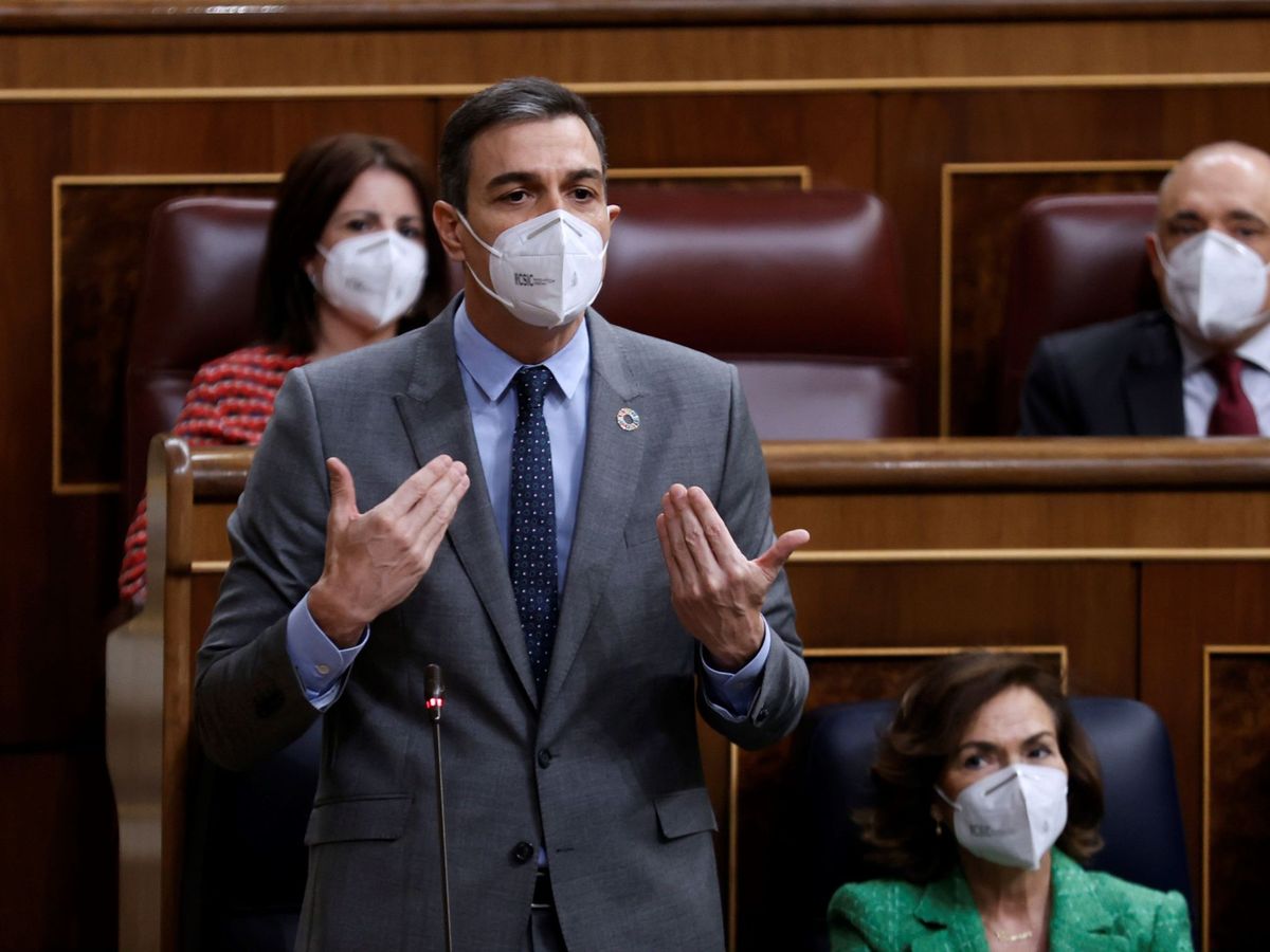 Foto: El presidente del Gobierno, Pedro Sánchez. (EFE)