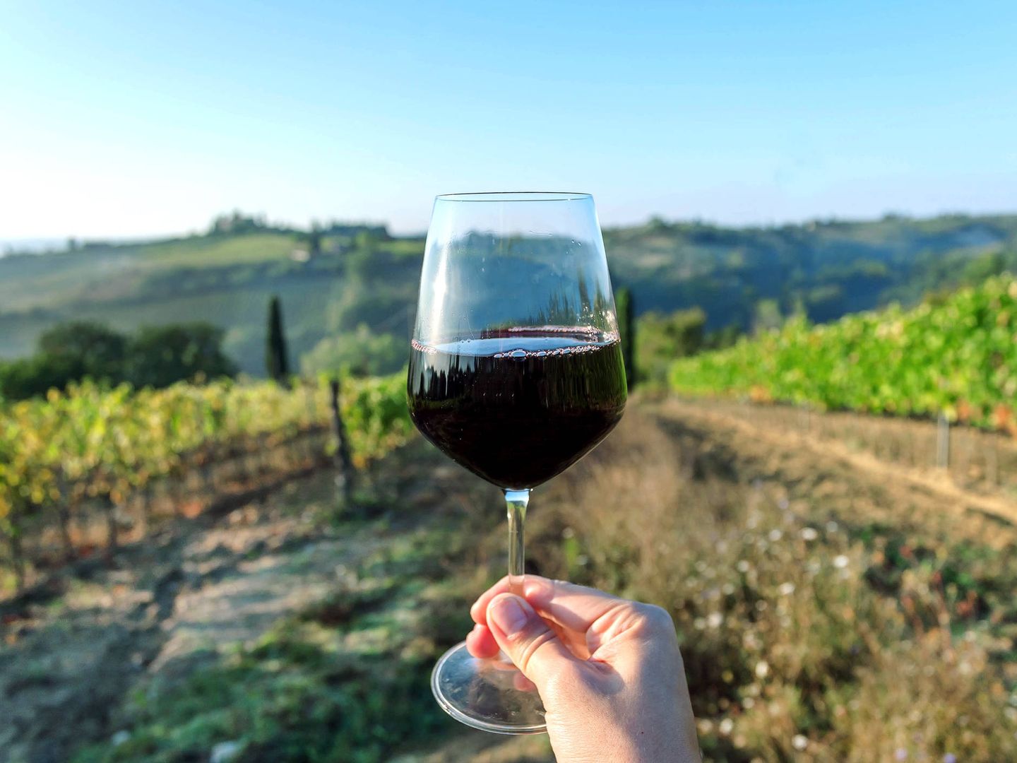 Una copa de vino al día: ¿en qué quedamos: es buena o es mala para la salud?