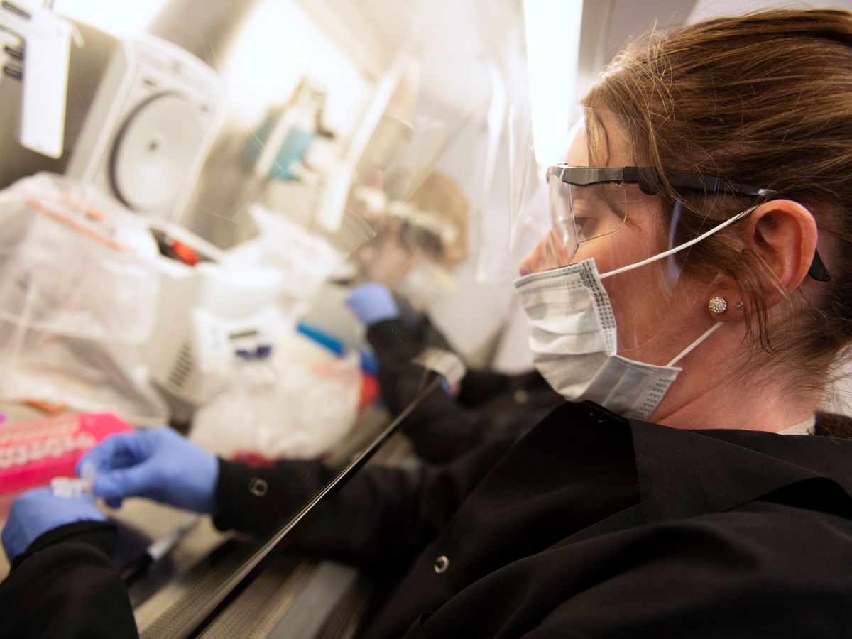 Foto: Una científica, trabajando en un laboratorio clínico. (EFE)