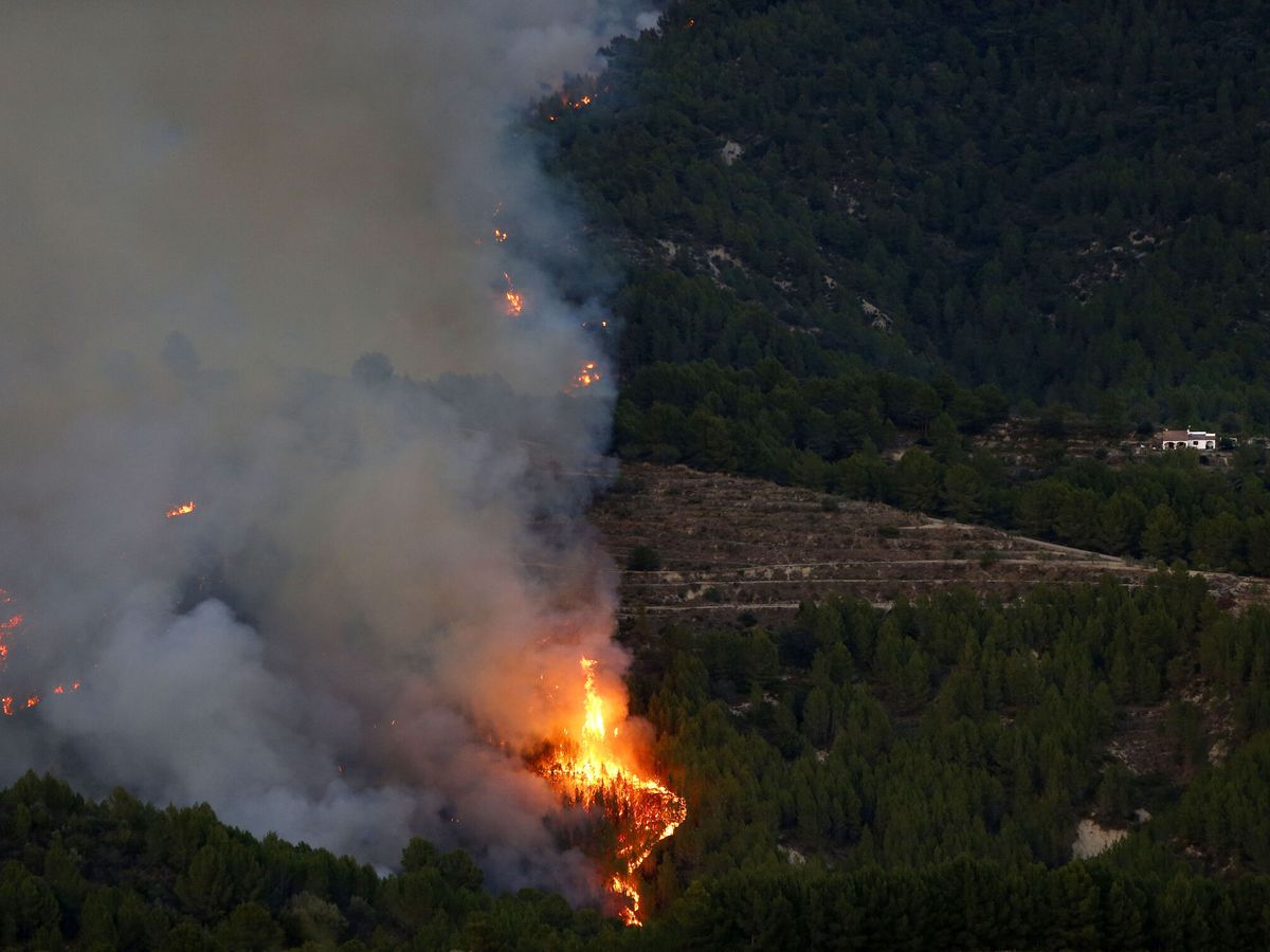 Foto: El fuego de Tárbena, en la provincia de Alicante. (EFE/Manuel Lorenzo)