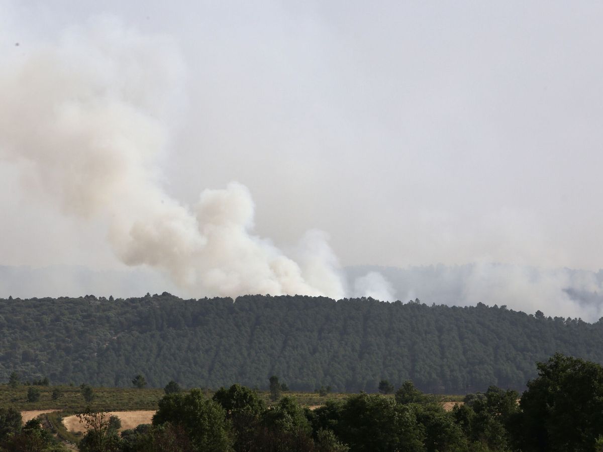Foto: Varias columnas de humo emergen de una zona forestal  durante un incendio declarado cerca del término municipal de Riofrío de Alista, en Zamora. (EFE/Mariam A. Montesinos)