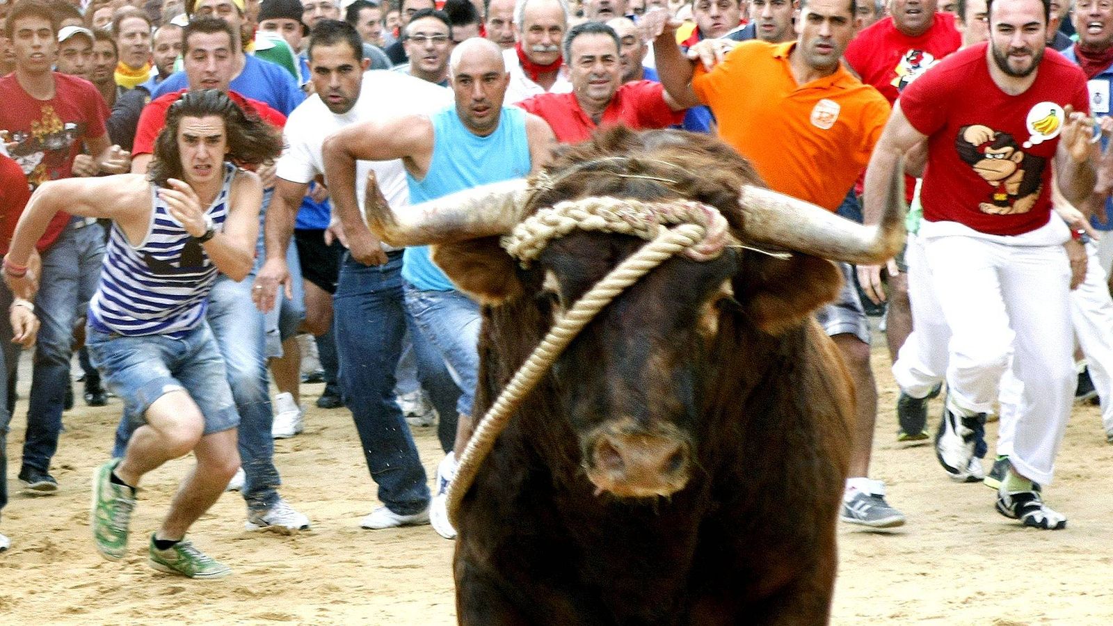 Foto: El TSJCyL anula la Orden que legalizaba el Toro Enmaromado de Astudillo (Efe).