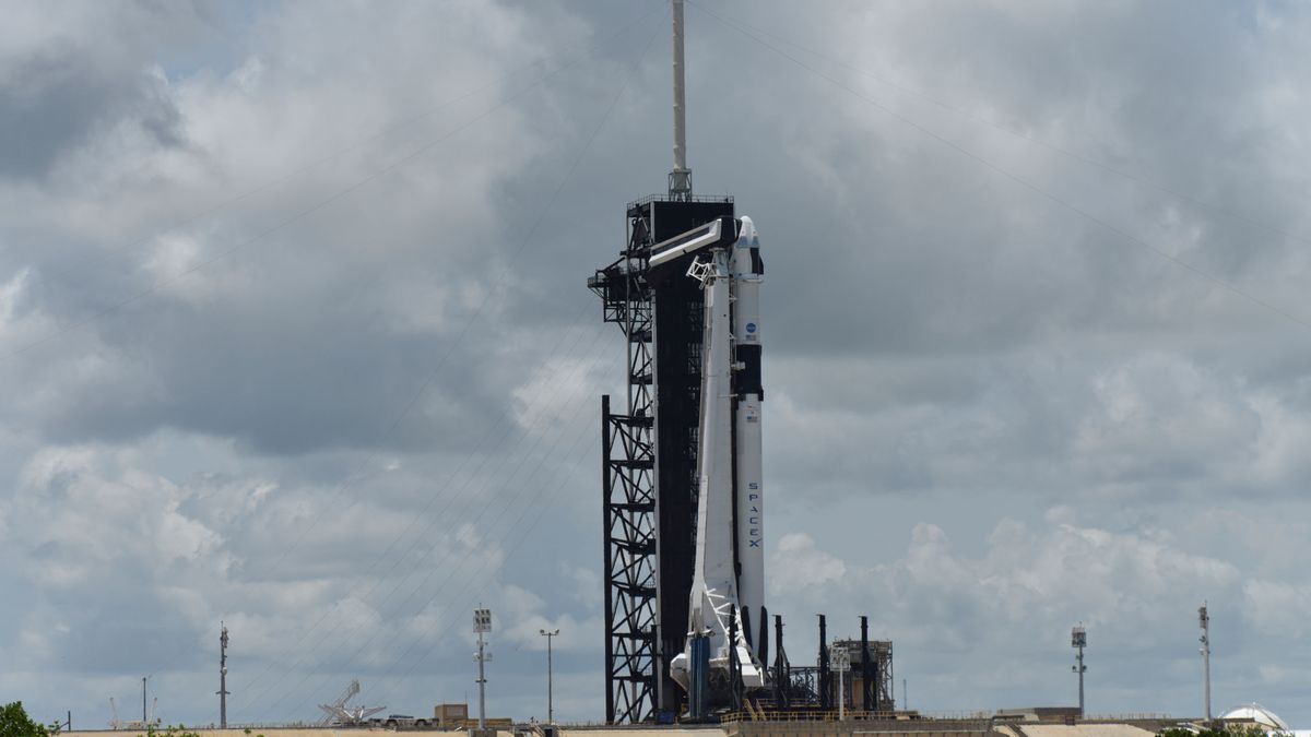 Segundo intento de la NASA y SpaceX: horario y dónde ver el histórico lanzamiento