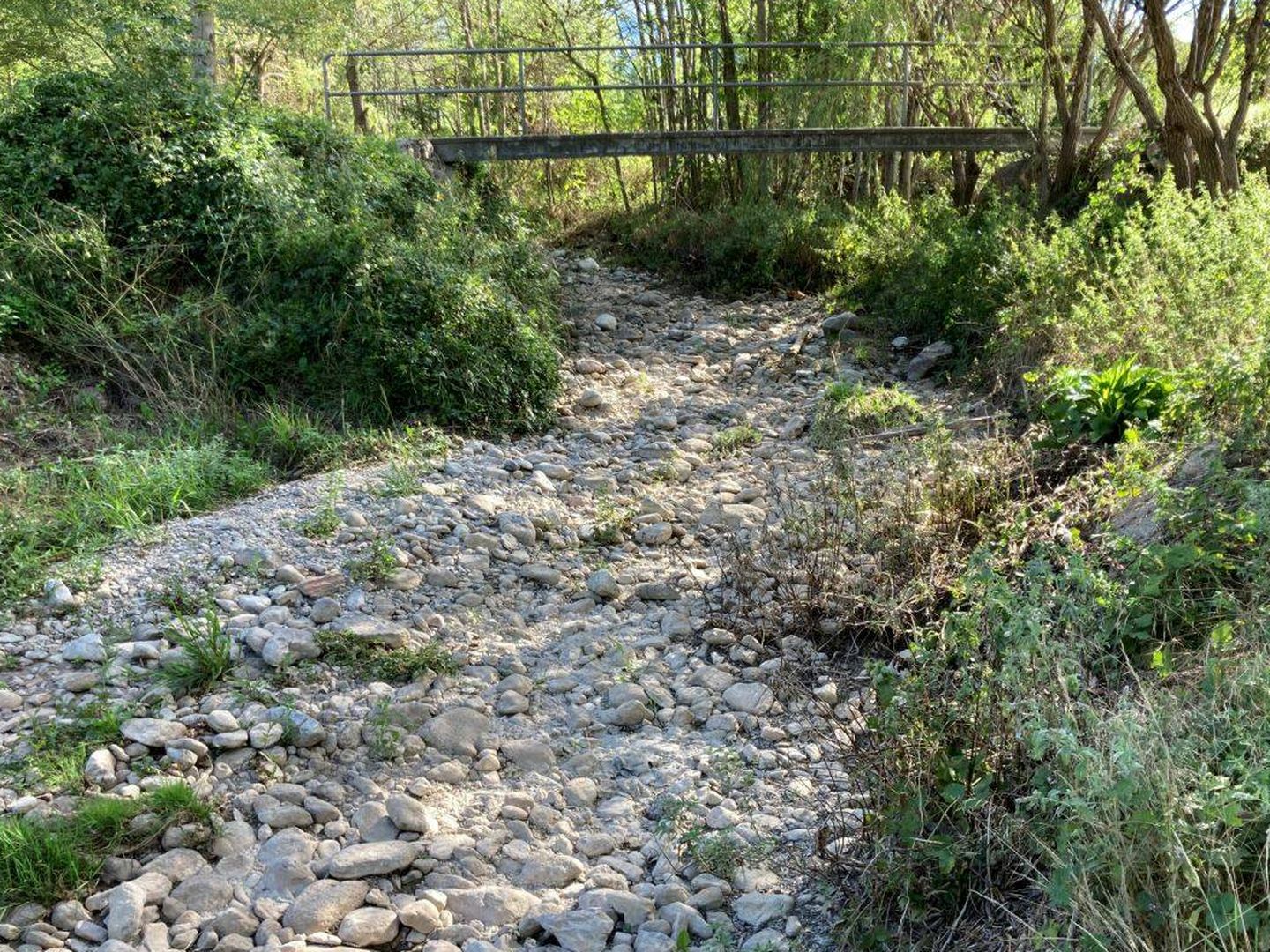 Río seco en el Pirineo catalán este agosto. (Jose Luis Gallego)