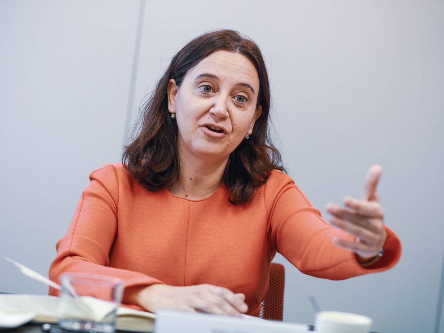 Rosa Vidal, socia directora de Boseta y directora del área de Derecho Público.