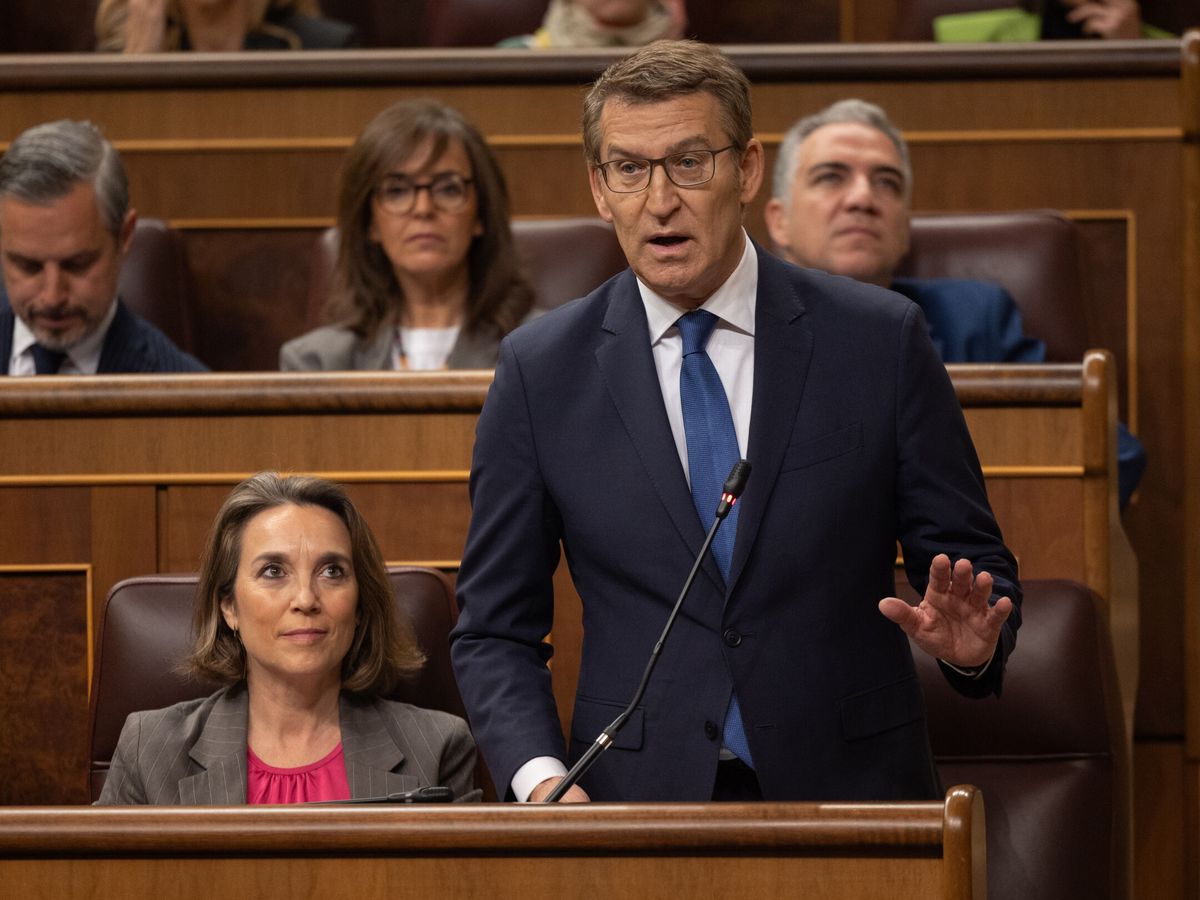 Foto: Alberto Núñez Feijóo, en el Congreso de los Diputados. (Europa Press/Eduardo Parra)