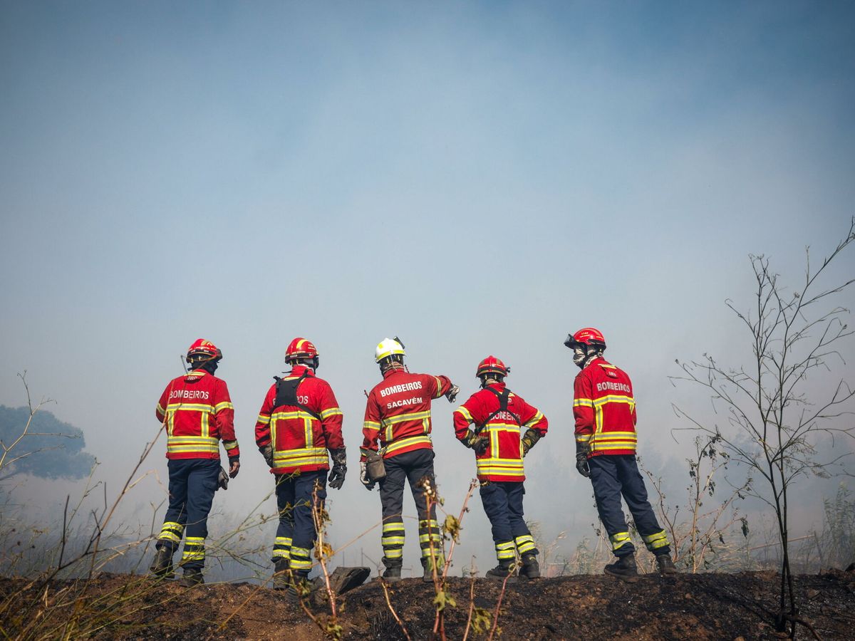 Foto: Bomberos en incendio forestal en Portugal en imagen de archivo. (EFE/Pedro Santos)