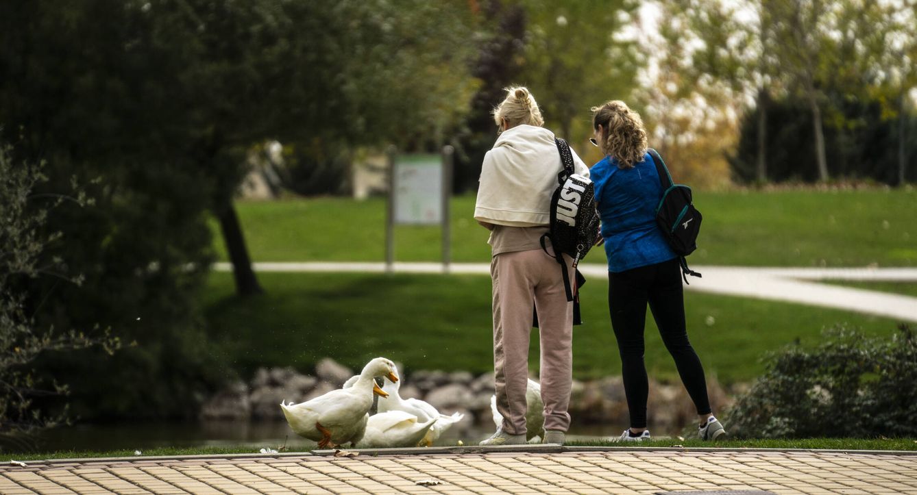 Dos vecinas alimentan a los patos del lago de Valdeluz. (A. B.)