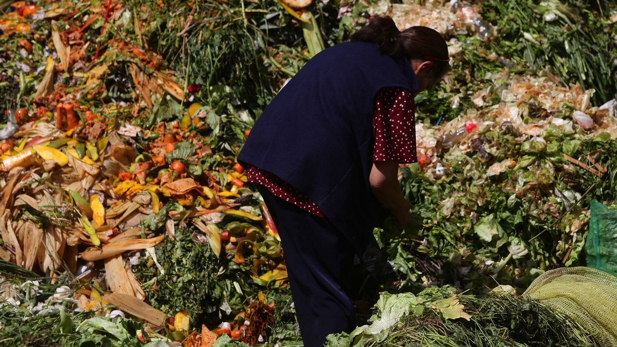 La insostenible (e inmoral) lacra del desperdicio de alimentos