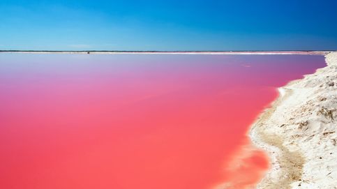 Estos son los lagos rosas más sorprendentes del mundo
