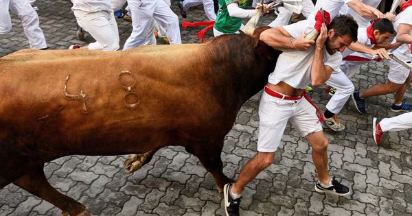 Foto: Un toro de la ganadería sevillana de Miura arrastra a un mozo a su paso en el tramo de entrada al callejón de la Plaza. (EFE)