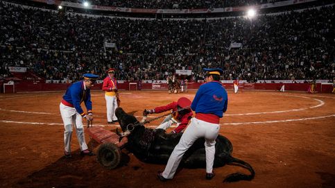 La mayor guerra cultural (y legal) por los toros está ocurriendo en México