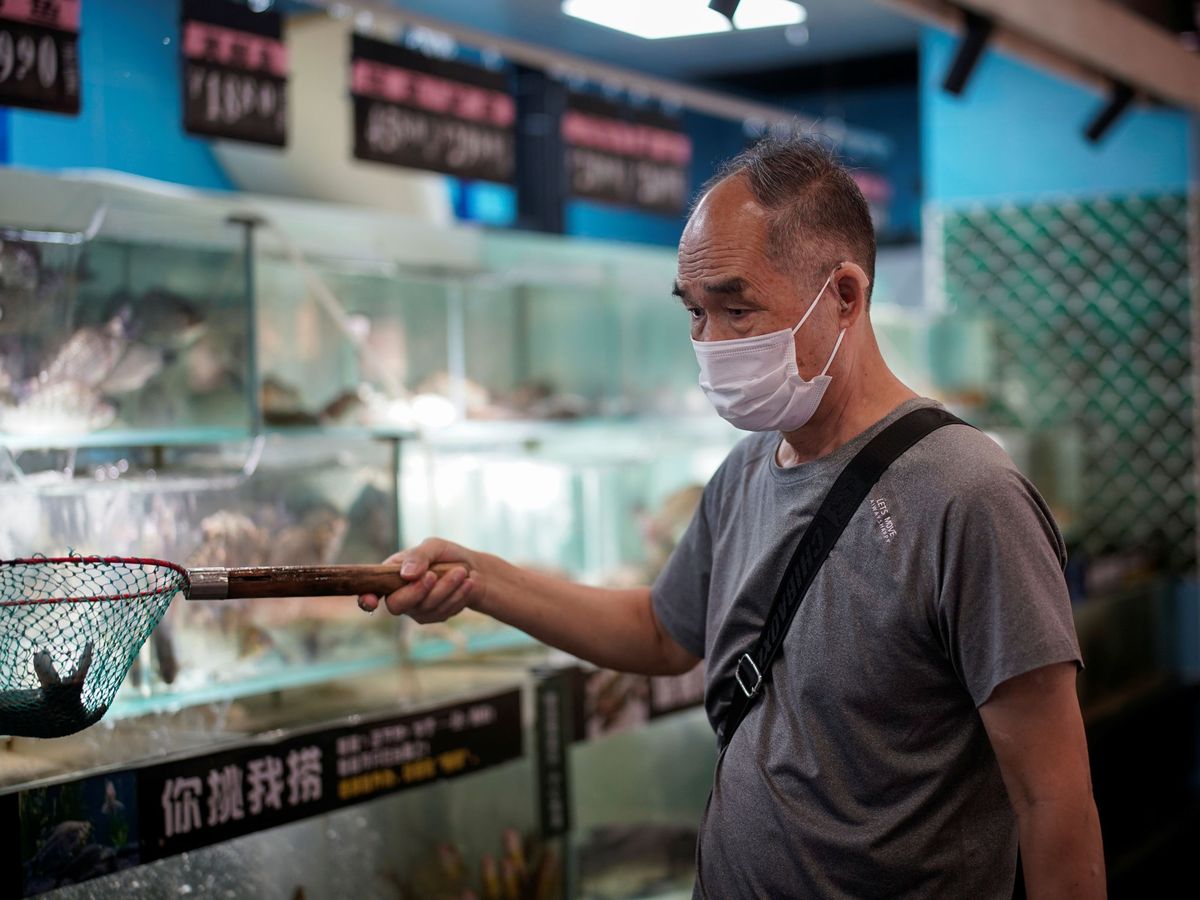 Foto: Mercado de pescado en Wuhan. (Reuters)